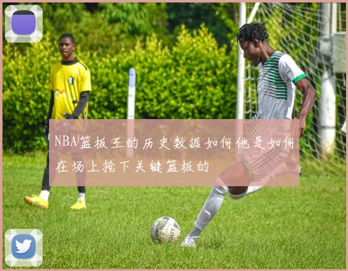 NBA篮板王的历史数据如何他是如何在场上抢下关键篮板的